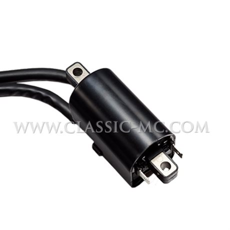 IGNITION COIL 6V, TWIN TRISPARK