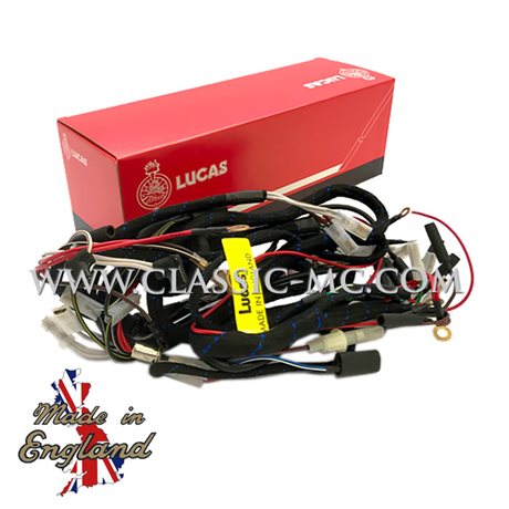 HARNESS MAIN, T150 1971-72 LUCAS